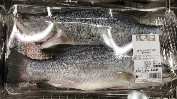 Costco-澳洲金目鲈Australian Whole Baby Barramundi🐟🔥