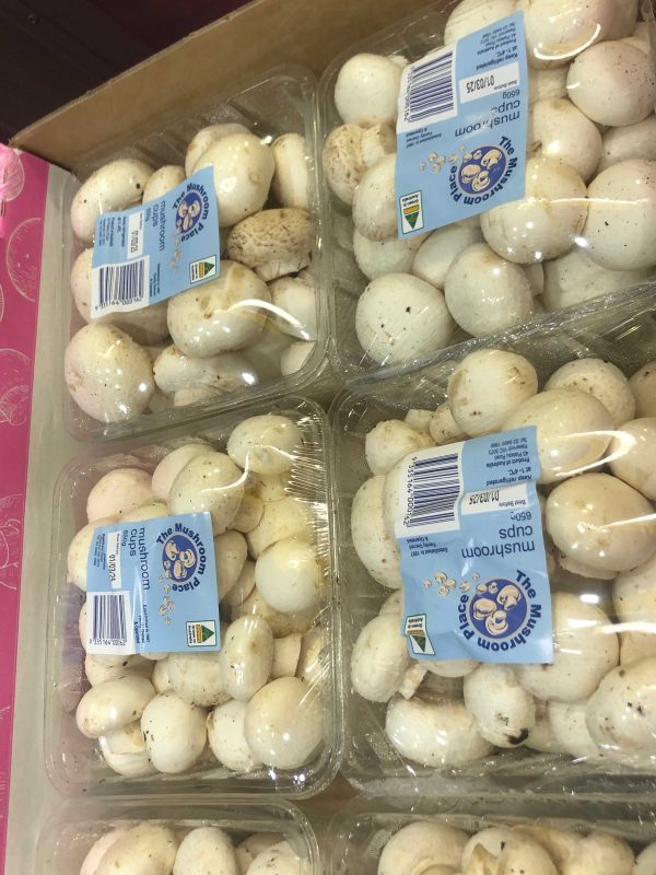 Coster-闭口蘑菇 650g Closed Cup Mushrooms🍄✨
