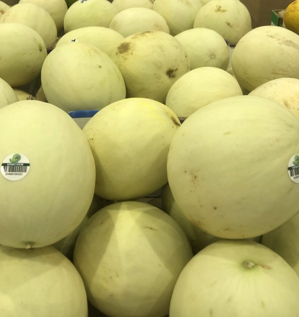Costco-哈密瓜Honeydew Melon (Size 6/7)🍈✨