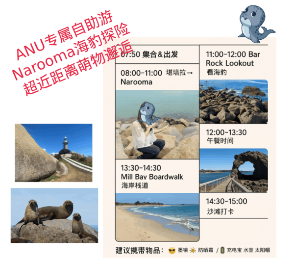 ANU专属自助游 | Narooma往返海豹探险  120刀/人