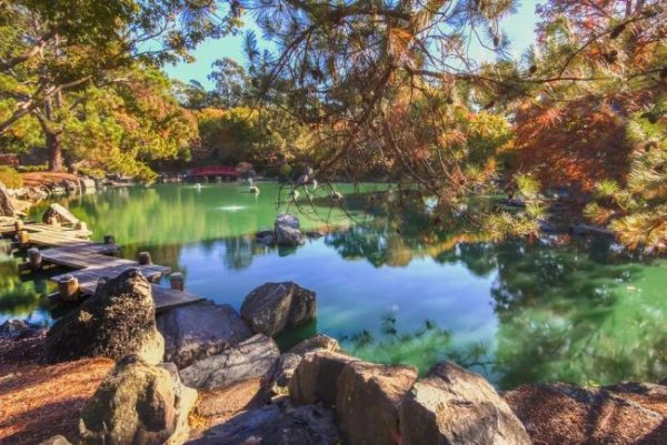 🍁Tumut秋季小镇一日游｜金色治愈之旅🏡 - Image 2