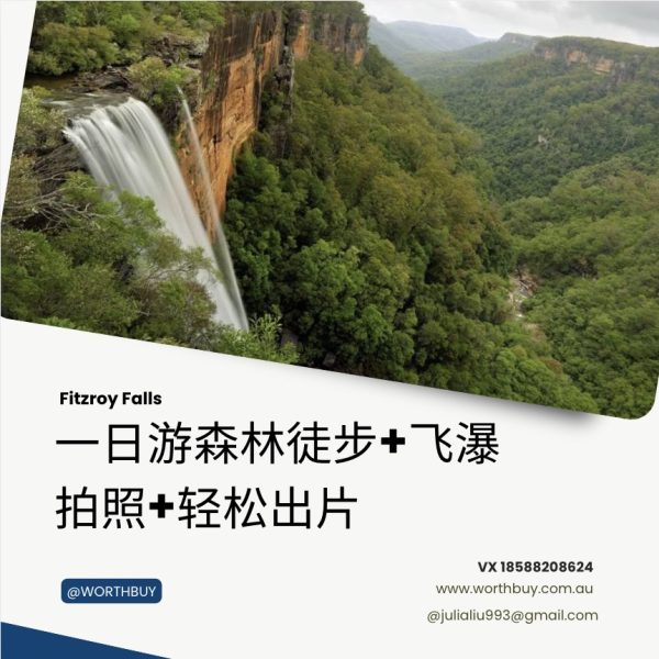 Fitzroy Falls 一日游森林徒步+飞瀑拍照+轻松出片