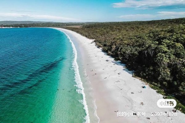 堪培拉出发Jervis Bay 一日自驾游-观鲸鱼￼ - Image 2