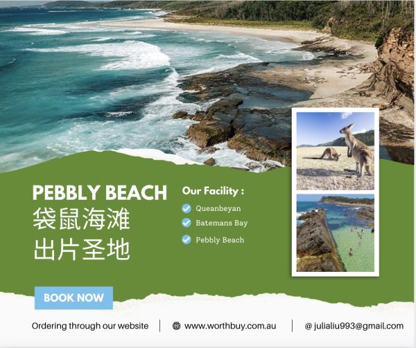 Pebbly Beach 一日游 袋鼠海滩出片圣地