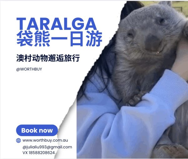 Taralga袋熊一日游｜澳村动物邂逅旅行